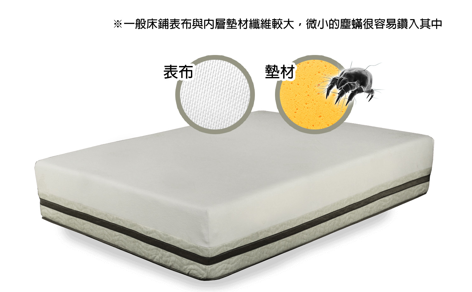 一般床鋪表布與內層墊材纖維較大，微小的塵蟎很容易鑽入其中;